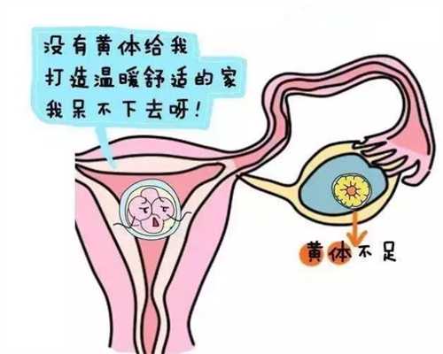 武汉长江代孕 可以胚胎养成囊吗：武汉代孕之父：1617675680937