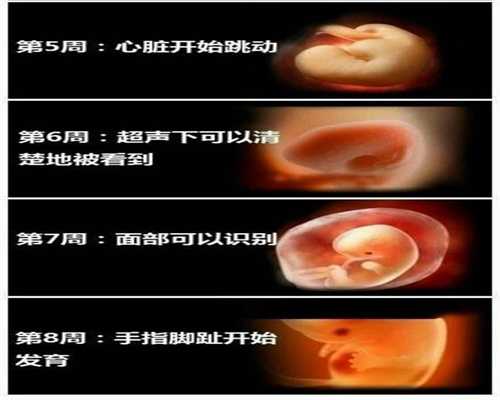 武汉在哪里可以做代孕手术_武汉寻找代孕的母亲_辅助助孕是什么意思：163134
