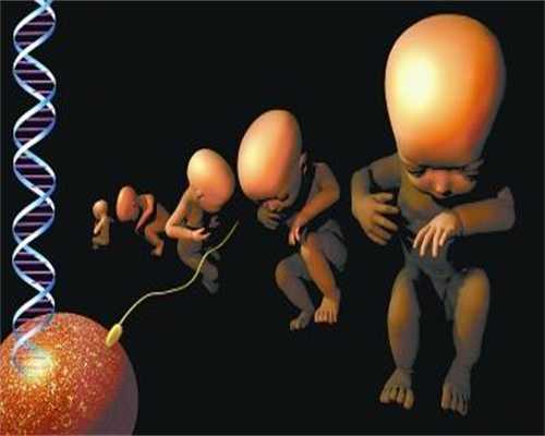 武汉供卵母体_试管供卵需要多少钱_代孕网看福婴国际_代孕包代生孩子